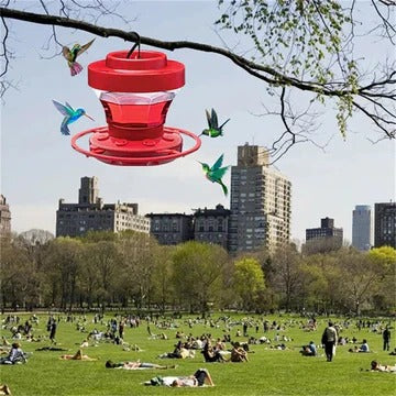 Hummingbird Water Feeder Hanging, Bee-Proof Design With Perch