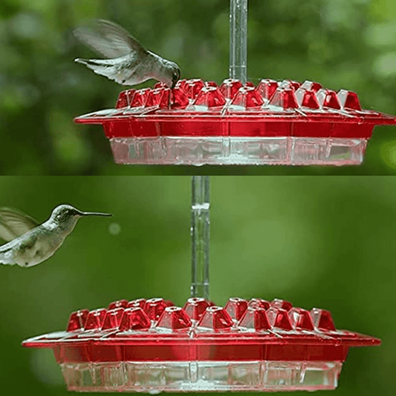 Hummingbird Feeder With Ant-Proof Design And Outdoor Hanging Perch