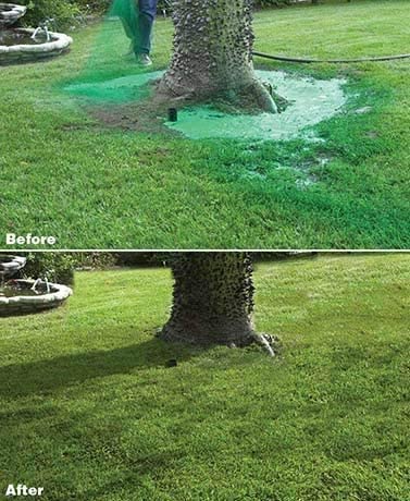 Liquid Lawn Seed Spray Household Seeding System For Lawn Overseeding And Repair