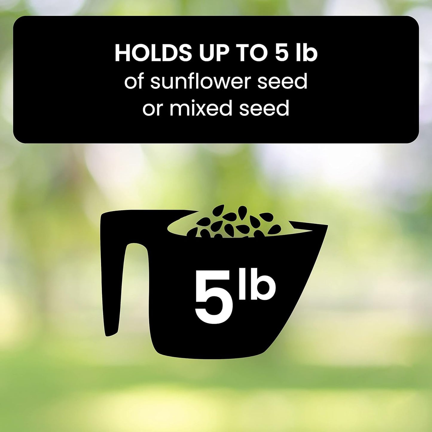 Bird Feeder With Squirrel-Proof Mechanism To Prevent Seed Theft