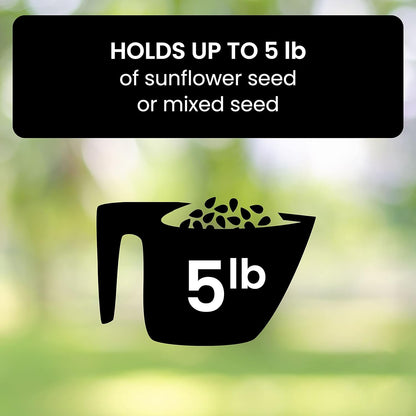 Bird Feeder With Squirrel-Proof Mechanism To Prevent Seed Theft