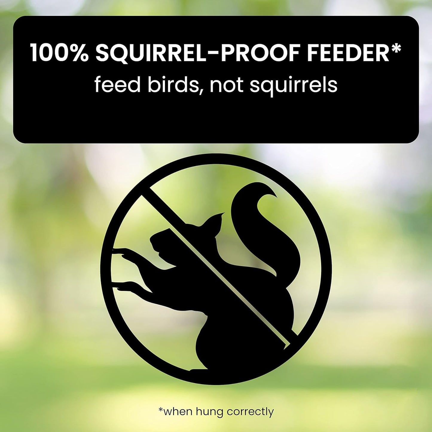Bird Feeder With Squirrel-Proof Mechanism To Prevent Seed Theft