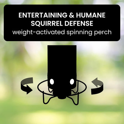 Bird Feeder With Squirrel-Proof Mechanism To Prevent Seed Theft