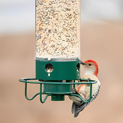 Bird Feeder With Squirrel-Proof Mechanism To Prevent Seed Theft