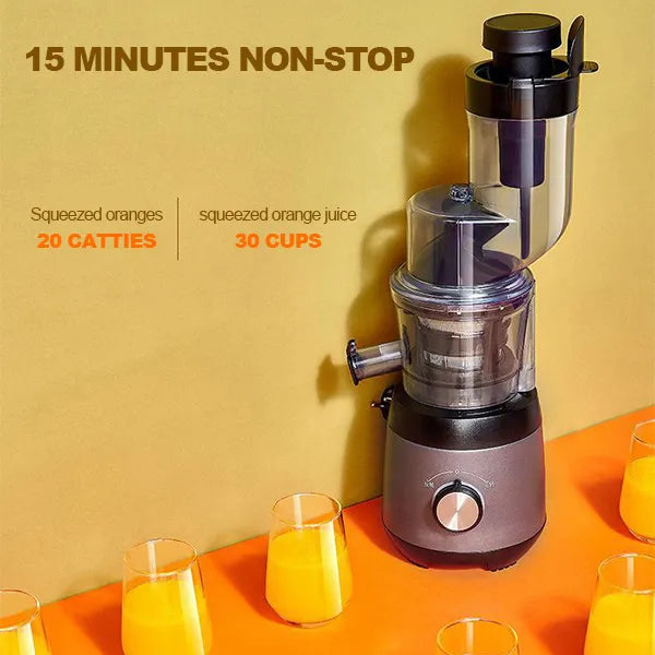 Automatic Juicer Machine For Fruits And Vegetables With Pulp Collector