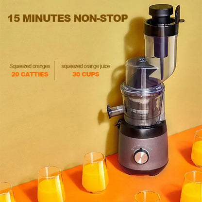Automatic Juicer Machine For Fruits And Vegetables With Pulp Collector