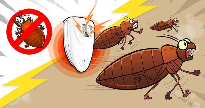 Ultrasonic Bed Bug Repeller Helps Reduce Bed Bug Activity Within 48 Hours
