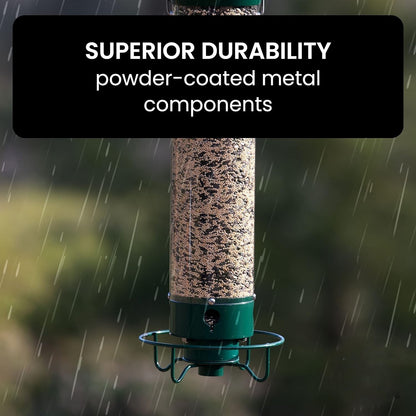 Bird Feeder With Squirrel-Proof Mechanism To Prevent Seed Theft