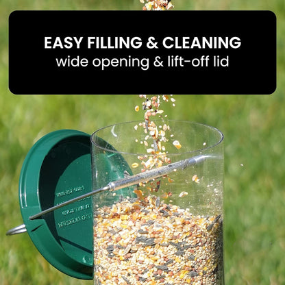 Bird Feeder With Squirrel-Proof Mechanism To Prevent Seed Theft