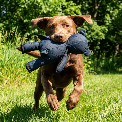 Interactive Dog Toys Bear-Shaped Chew-Resistant For Heavy Chewers
