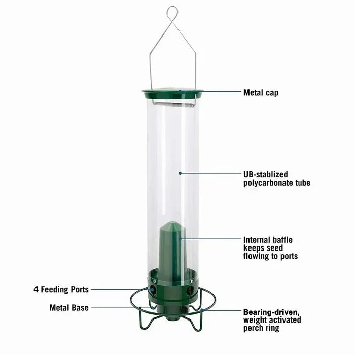 Bird Feeder With Squirrel-Proof Mechanism To Prevent Seed Theft