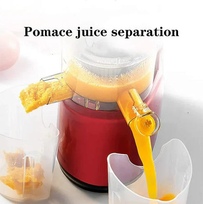 Automatic Juicer Machine For Fruits And Vegetables With Pulp Collector