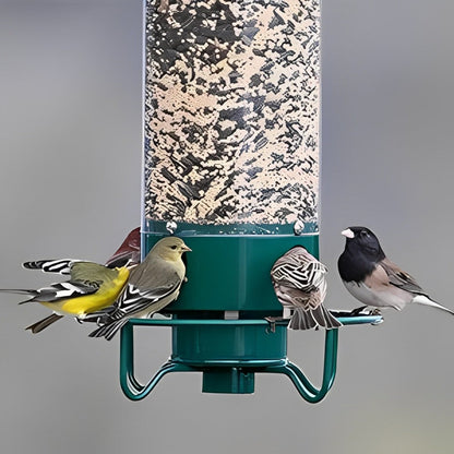 Bird Feeder With Squirrel-Proof Mechanism To Prevent Seed Theft