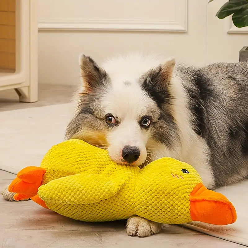 Dog Toy Plush Duck Mental Stimulation and Anxiety Relief