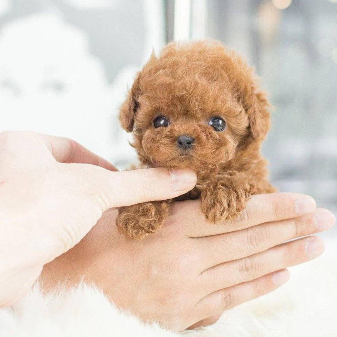 Robotic Puppy Interactive Lifelike Toy With Real Barking And Sensors
