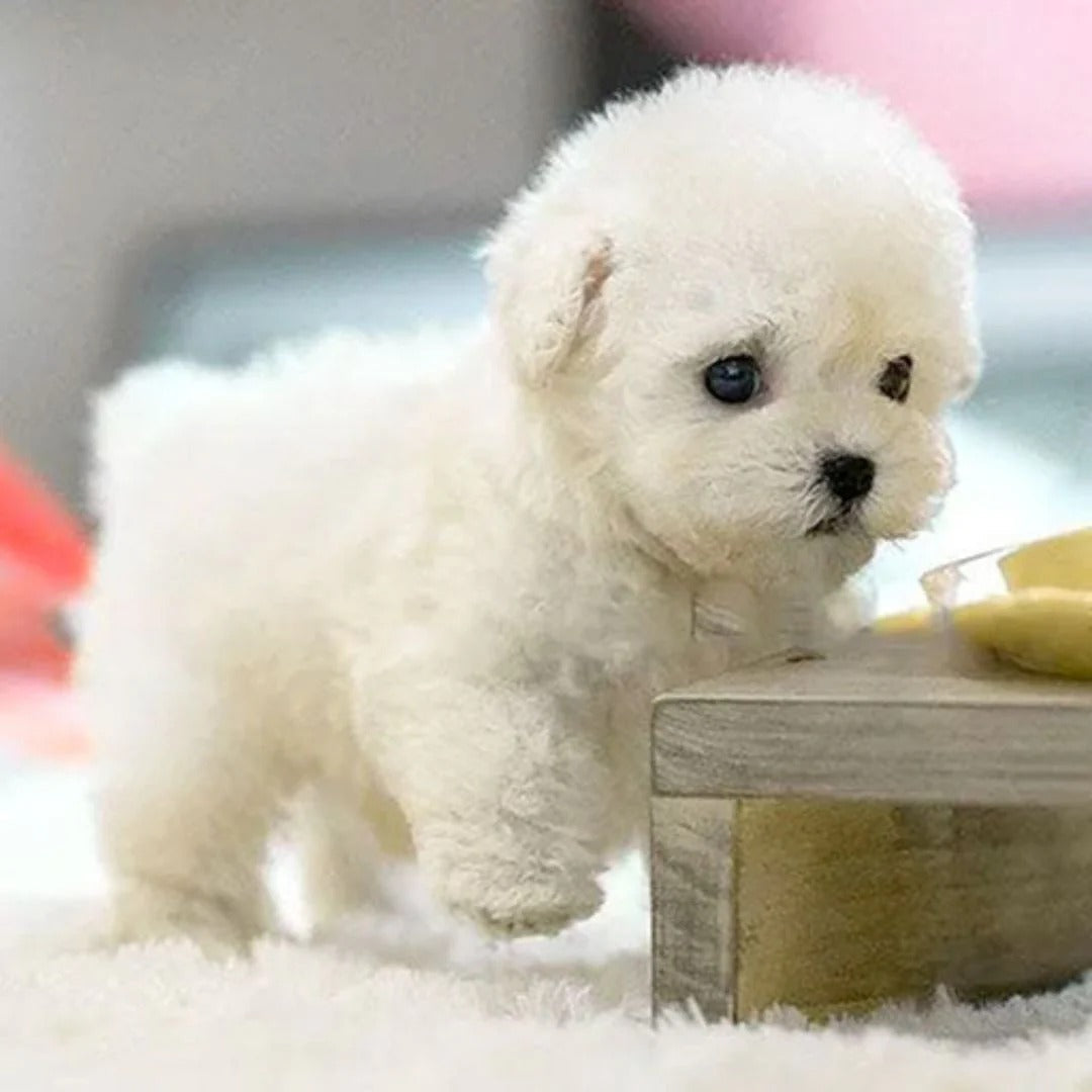 Robotic Puppy Interactive Lifelike Toy With Real Barking And Sensors