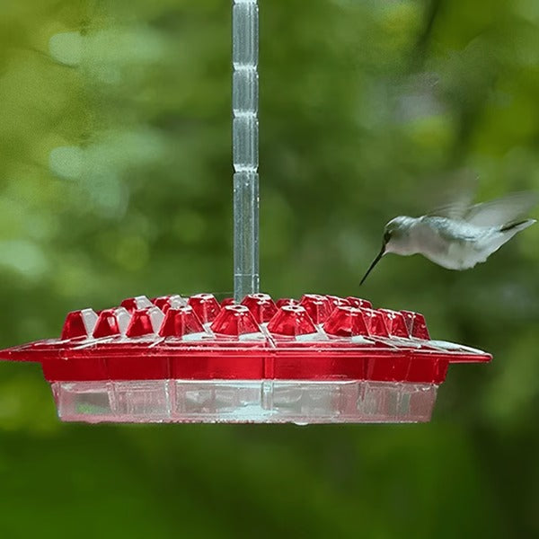 Hummingbird Feeder With Built-In Ant Moat And Easy-Clean Design
