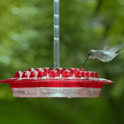 Hummingbird Feeder With Built-In Ant Moat And Easy-Clean Design