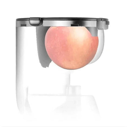 Automatic Juicer Machine For Fruits And Vegetables With Pulp Collector