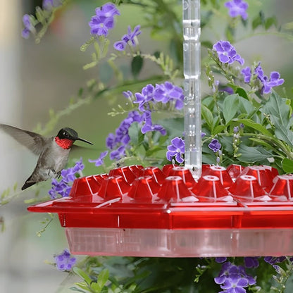 Hummingbird Feeder With Built-In Ant Moat And Easy-Clean Design