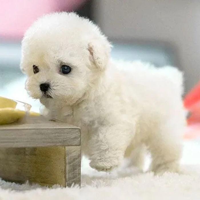 Interactive Robot Puppy Toy Lifelike Robotic Pet For Kids