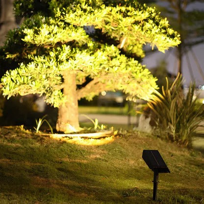 Solar LED Spot Light Adjustable Multi-Zoom Beam Rechargeable Outdoor Garden Pathway Lighting