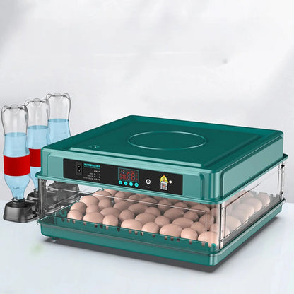 Egg Incubator Adjustable Tray, EU Plug, Light Tester, Turner For Hatching Poultry