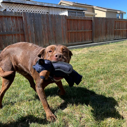 Dog Toys For Heavy Chewers Indestructible Interactive Bear Toys