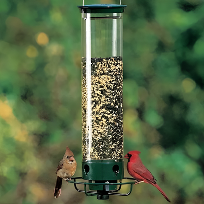 Bird Feeder With Squirrel-Proof Mechanism To Prevent Seed Theft