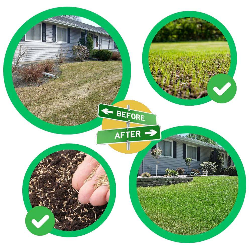 Grass Seed Mat Quick Fix Green For Fast Lawn Repair
